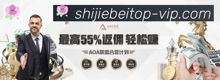 平台使命图