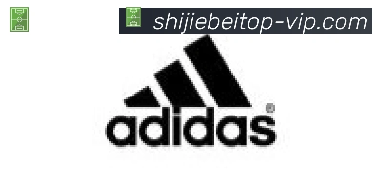 世界杯数据官方网站合作伙伴